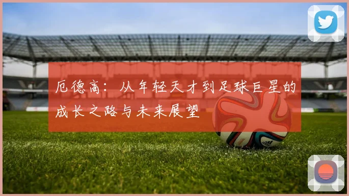 厄德高：从年轻天才到足球巨星的成长之路与未来展望