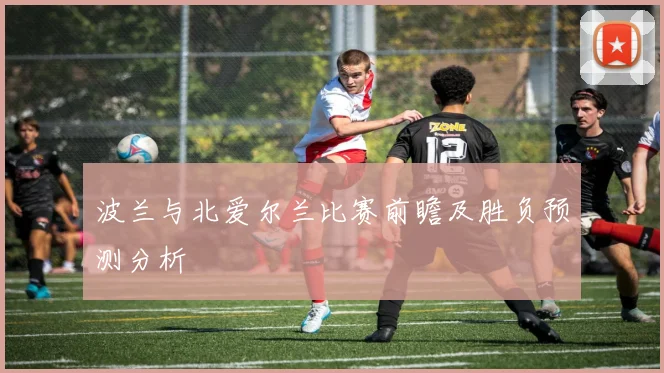 波兰与北爱尔兰比赛前瞻及胜负预测分析